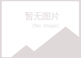 巴青县夏岚水泥有限公司